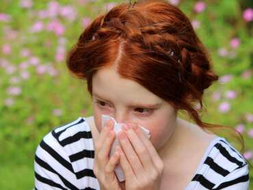 Natural Hay Fever Solutions