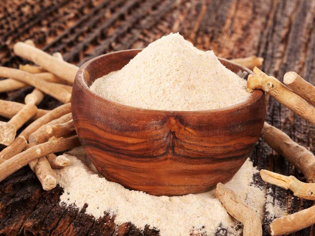 Ashwagandha for Fitness Energy Strength and Recovery 1