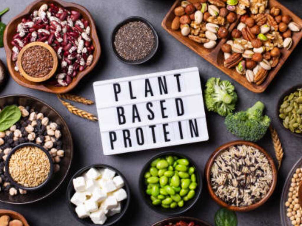 Plant Based Protein