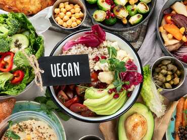 Introduction to Plant-Based Nutrition