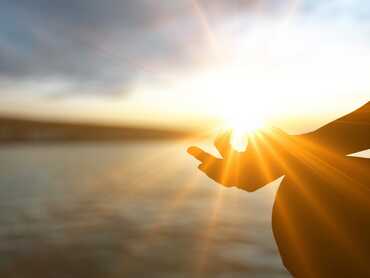 The Health Benefits of L-Theanine