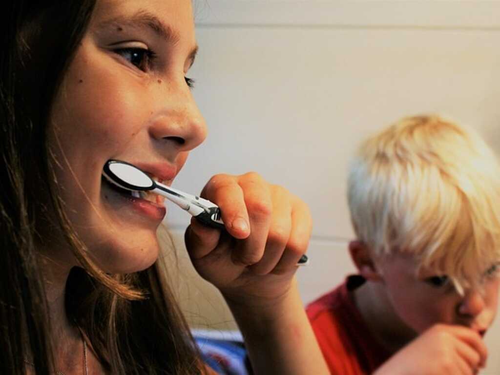 Jennyfriedrichs brush teeth 2103219 640