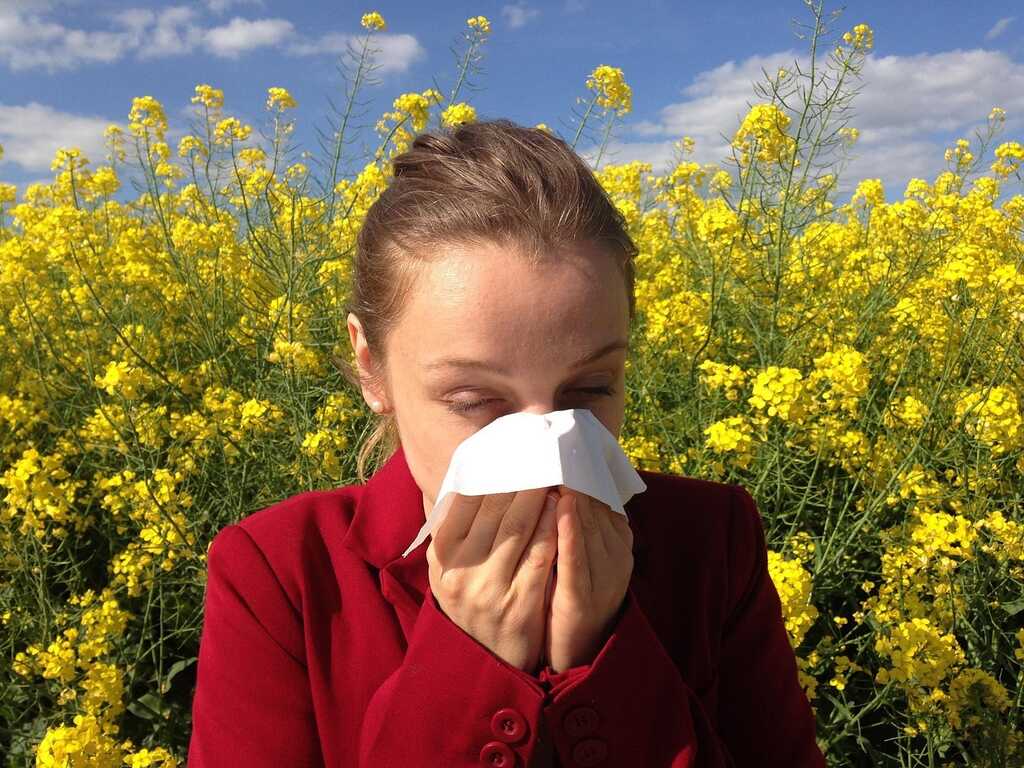 Cenczi allergy 1738191 1280