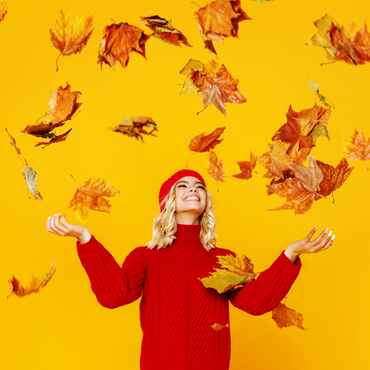 Shop September Offers Category