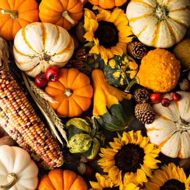 Shop October Offers Category