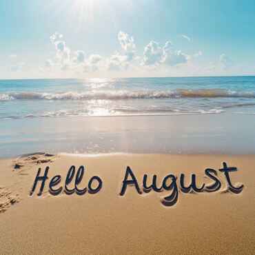Shop August Offers Category