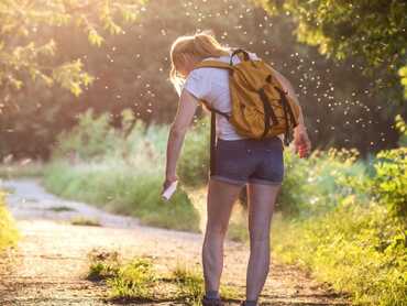 Incognito Natural Mosquito Repellent