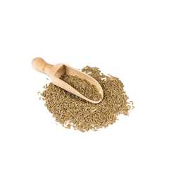 Cumin seeds 1
