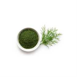 Dill herb 1