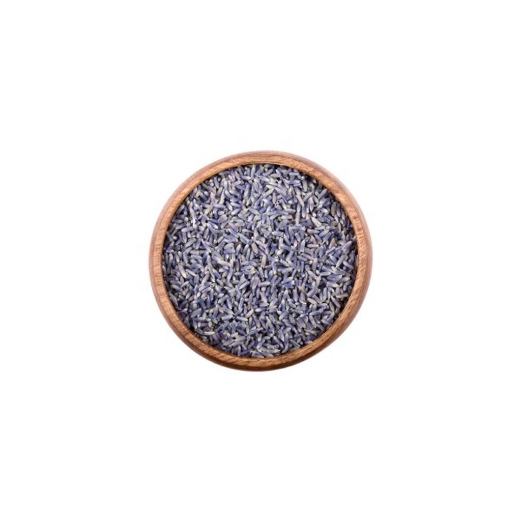Lavender flowers 1