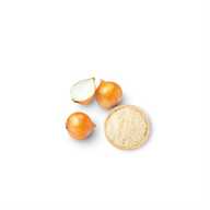 True Natural Goodness Onion Powder