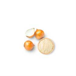 Onion powder 1