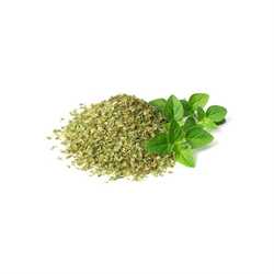 Oregano 1