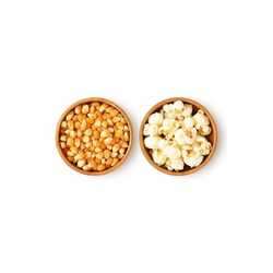 Organic popcorn kernels 1