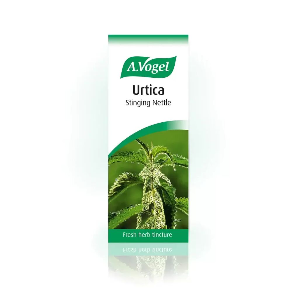 A vogel urtica