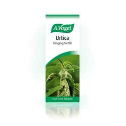 A vogel urtica