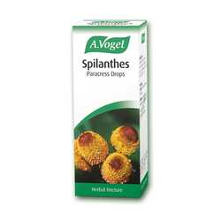 A vogel spilanthes