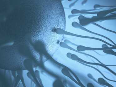 Magnesium, Myo-inositol & Vitamin C – A Powerful Fertility Trio