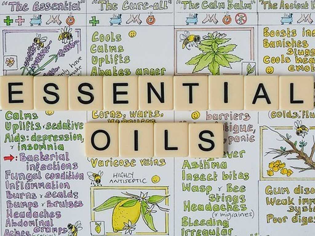 Essential oils 5570288 640