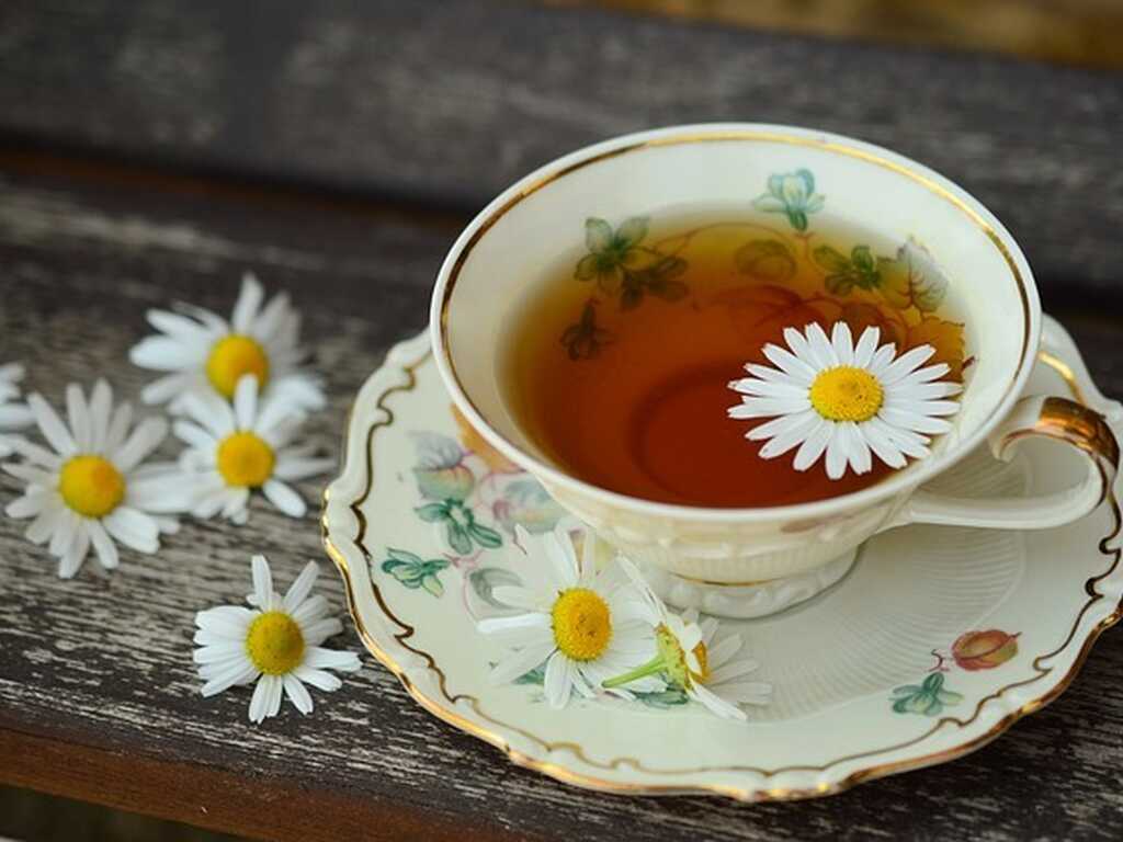 Tea image online