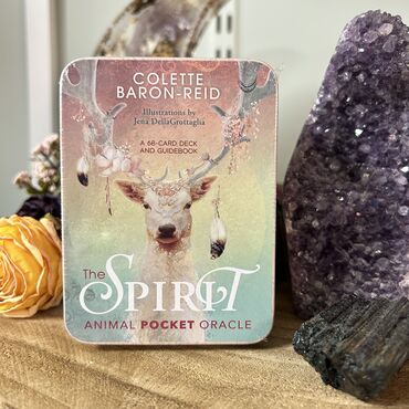 Oracle Cards Spirit Animal Pocket Edition