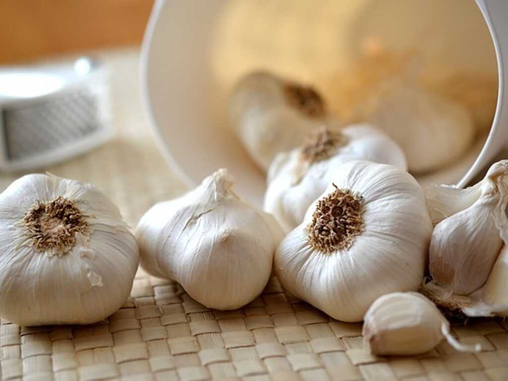 Garlic 545223 640