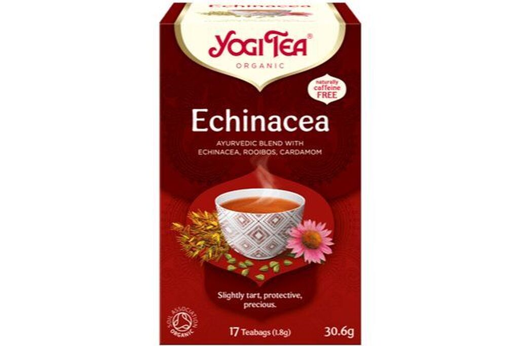 Yogi Echinacea
