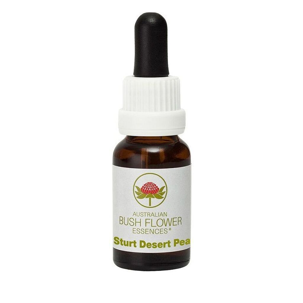Australian-bush-flower-essence-sturt-desert-pea