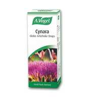 A. Vogel Artichoke Cynara