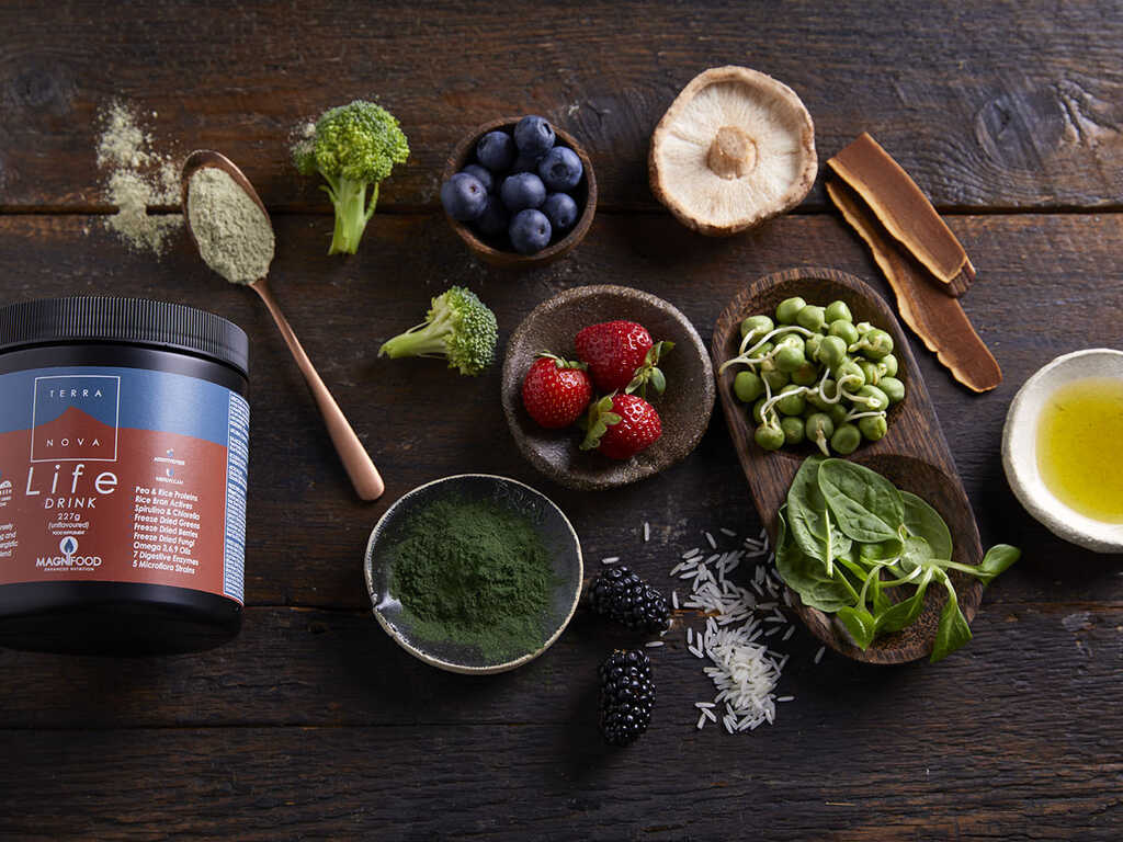 Terranova new june 211380