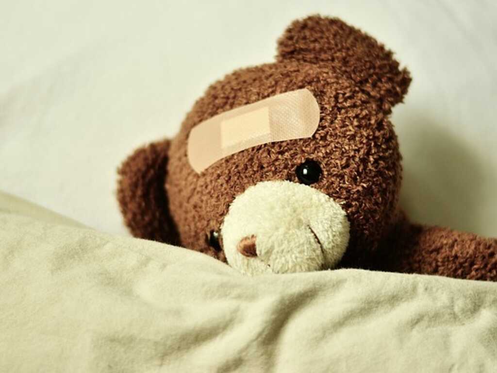 Teddy g587e54290 640