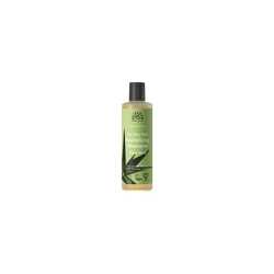 Aloe shampoo dry hair