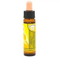 Chakra Flower Gemstone Essence Solar Plexus