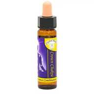 Chakra Flower Gemstone Essence Crown