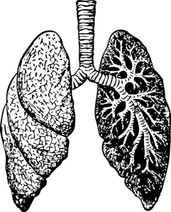 Respiratory Conditions