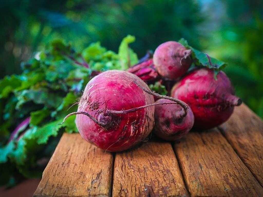 Beetroot 687251 640