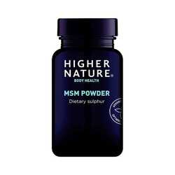 MSM Powder