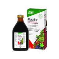 Salus Haus Floradix Iron