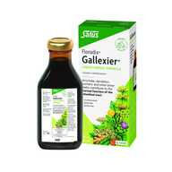 Salus Haus Floradix Gallexier (Digestive Bitter)