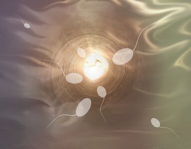 Did you know that 40% to 50% of infertility cases are attributable to male infertility?