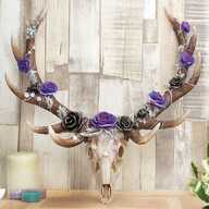 Wall Mount Antlers of Eden