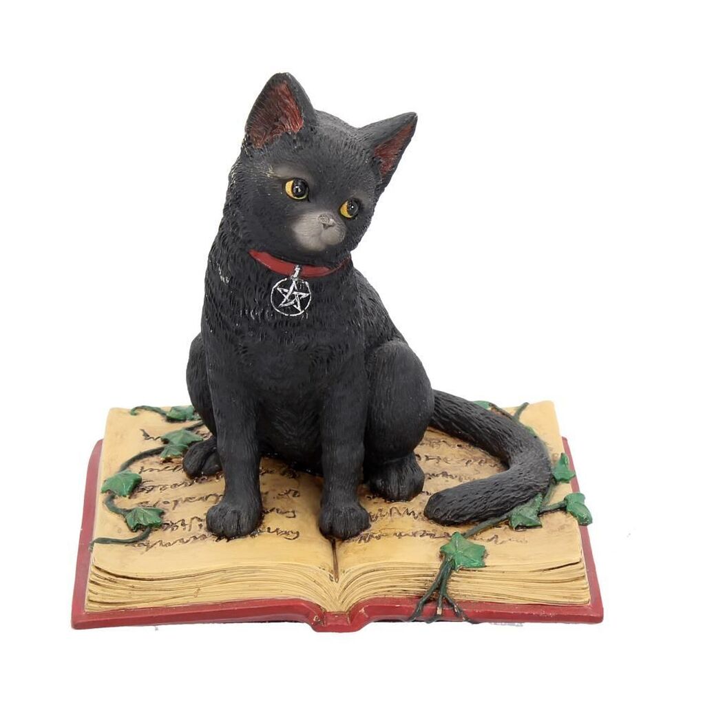 Elcips cat