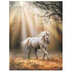 Unicorn wall plaque