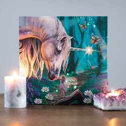 Fairy whispers light up canvas