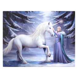 Anne stokes canvas pure magic