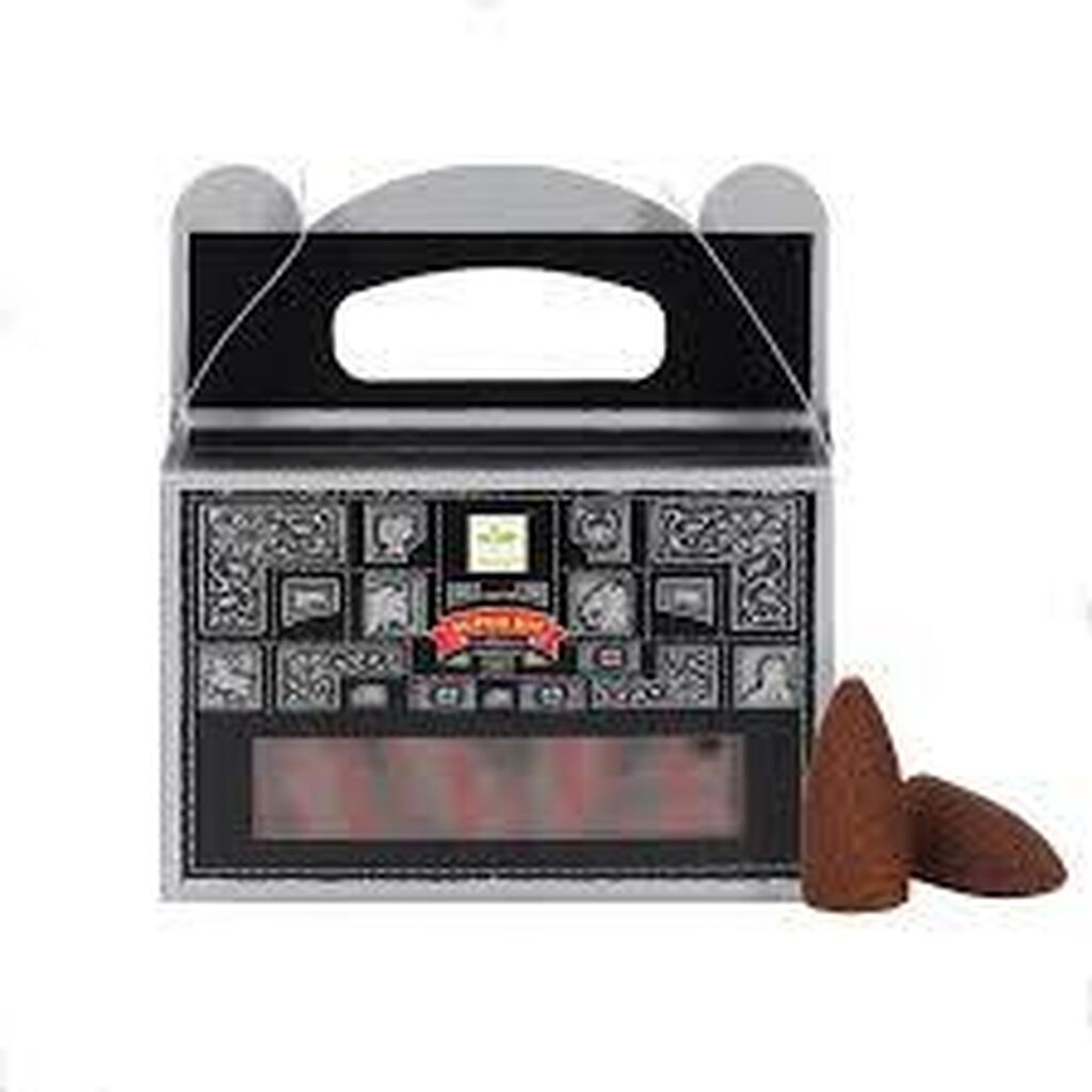 Satya super hit backflow