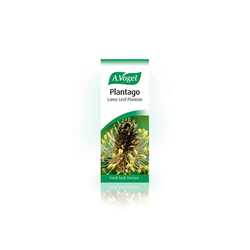 A Vogel Plantago