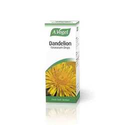 A Vogel Dandelion
