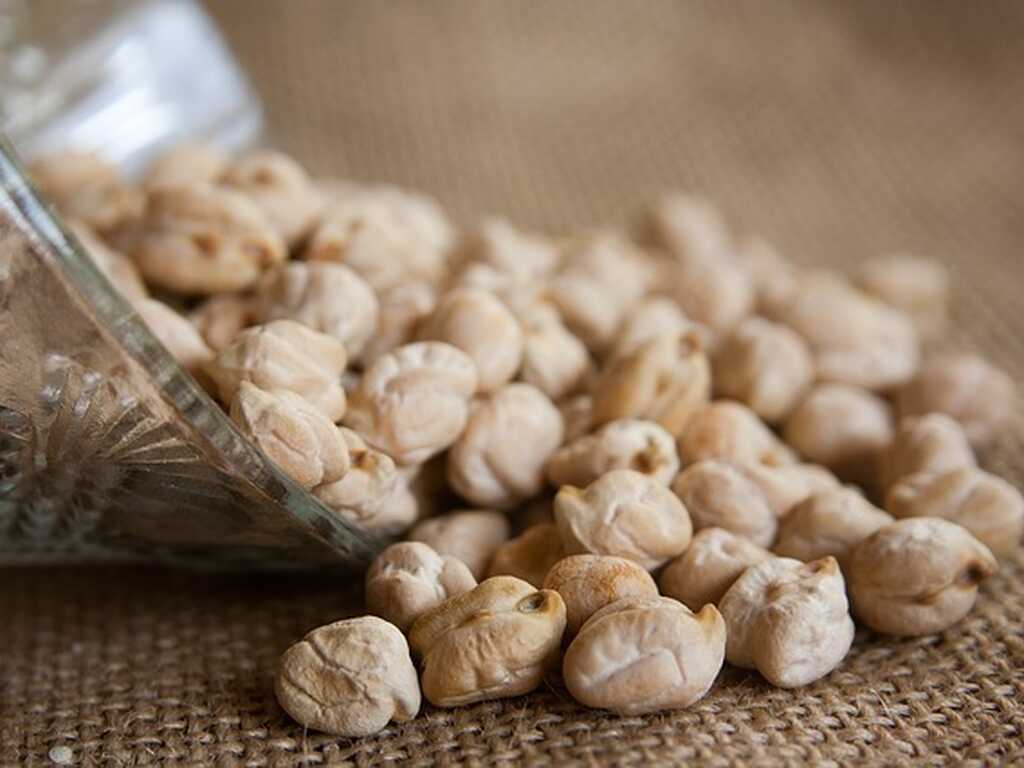 Chickpea g6ea6231ac 640