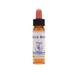 Rock rose